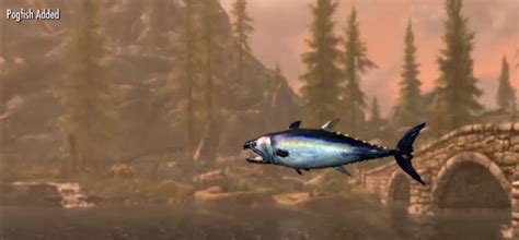 Pogfish skyrim - Where can I find a pogfish? I've been looking all over, I've fished in streams, and I cannot, for the life of me, find a pogfish. 49 33 33 comments Add a Comment eatsomesmoke • 1 yr. ago Markarth stables has a pond nearby with several you can catch by hand. I found this info from a YouTube vid, I’ve been looking for pogfish forever too 67 